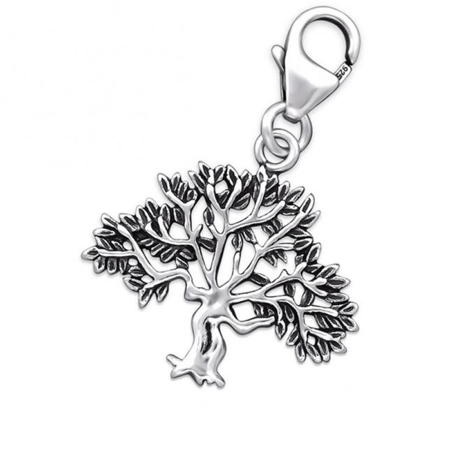 Strieborné prívesky s karabínkou Strieborné prívesky s karabínkou