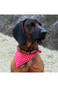 Obrázok pre Bavlnená šatka pre psíka - Srdiečka / červená